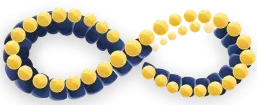 multikorzysci logo